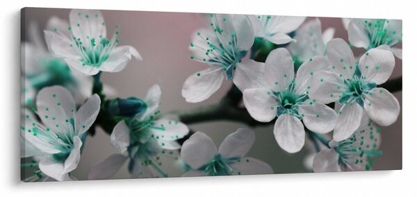 Obraz kvetov - tyrkysové (120x50 cm)