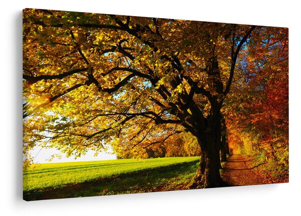 Obraz jesene (90x60 cm)