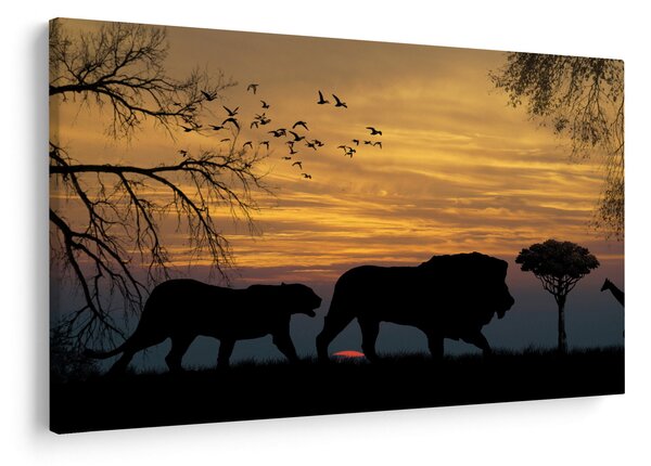 Obraz Safari (90x60 cm)