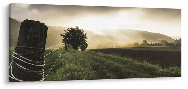Obraz lúky (120x50 cm)