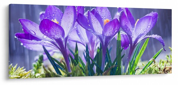 Obraz kvetov v daždi (120x50 cm)