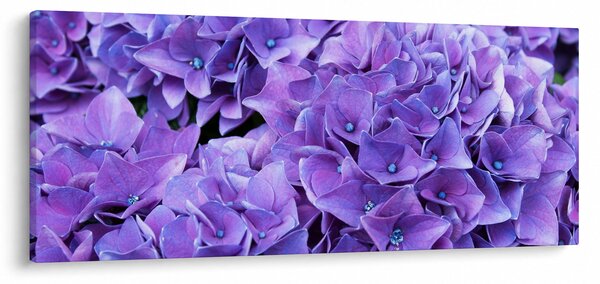 Obraz fialových kvetov (120x50 cm)
