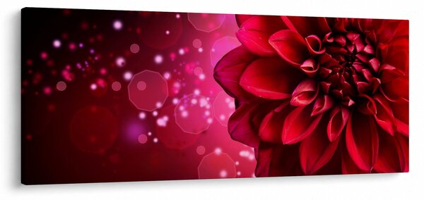 Obraz červené kvety (120x50 cm)