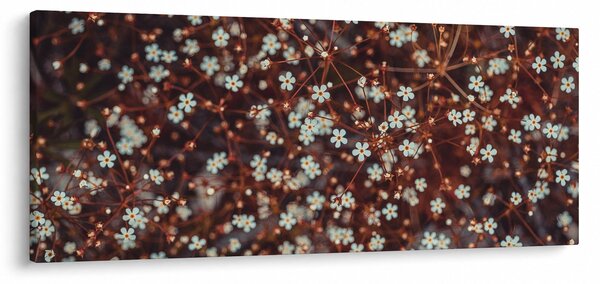 Obraz kvetu Nezábudky lesnej (120x50 cm)