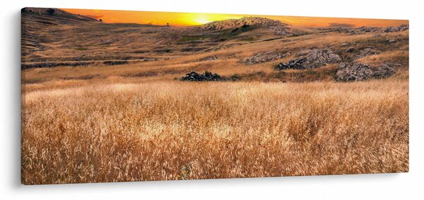 Obraz pole (120x50 cm)