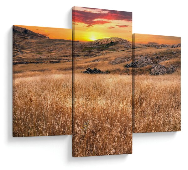 Obraz pole (90x60 cm)