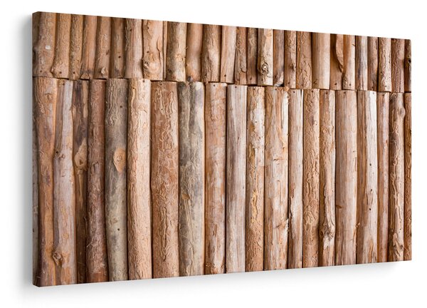 Obraz - Bambus (90x60 cm)