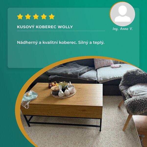 BT Carpet , Kusový koberec Wolly 102840, 80x150, šedá, obývacia izba