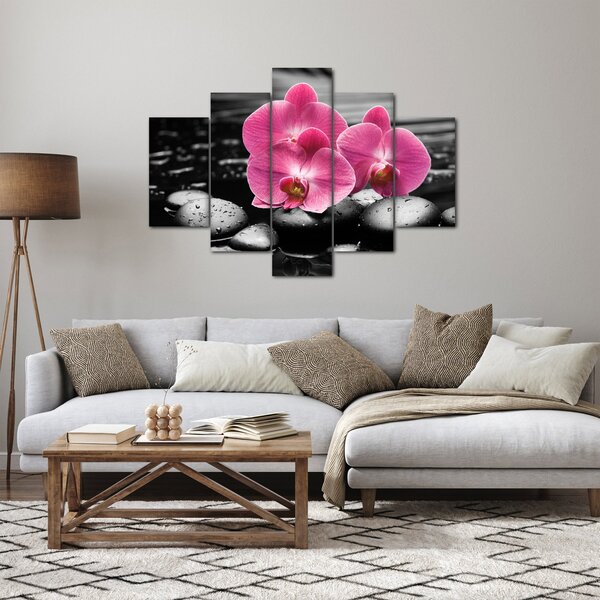 Obraz - Ružové orchidey (150x105 cm)