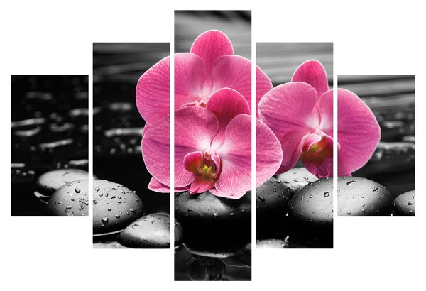 Obraz - Ružové orchidey (150x105 cm)