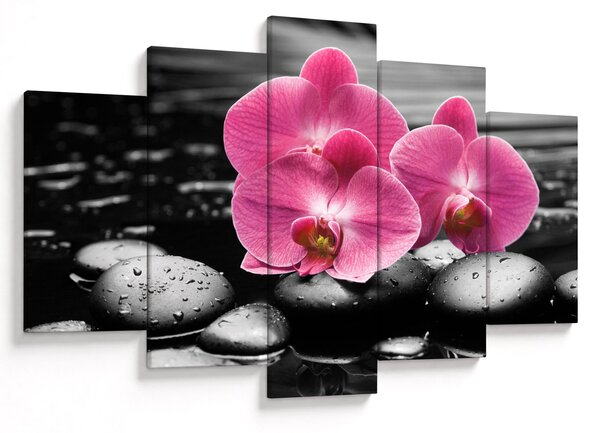 Obraz - Ružové orchidey (150x105 cm)