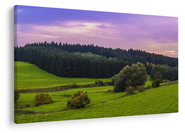 Obraz lúky (90x60 cm)