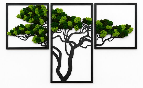 Machový obraz - strom TRIO Veľkosť rámu: 78cm x 49cm