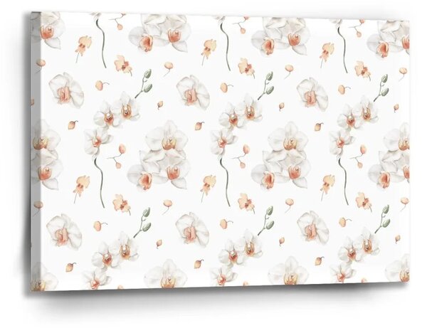 Sablio Obraz Biela orchidea - 90x60 cm