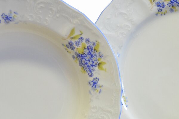 Bernadotte nezábudka – 18-dielna tanierová súprava z karlovarského porcelánu (Porcelánová súprava pre 6 osôb s reliéfnym vzorom a motívom nezábudiek)