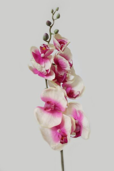 Ružová umelá orchidea na stonke 80cm