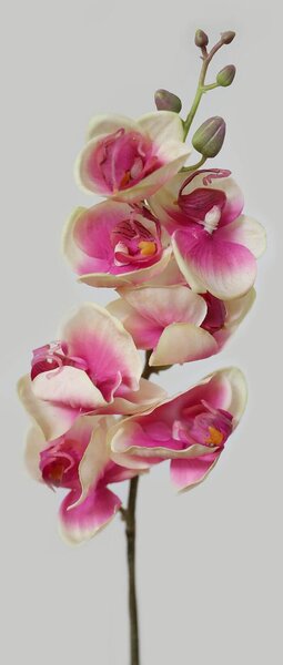 Ružová umelá orchidea 60cm