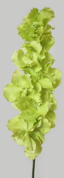 Zelená umelá orchidea na stonke 115cm