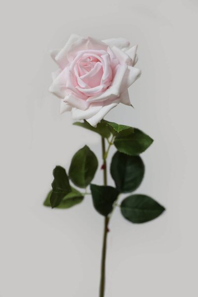 Ružová svetlá umelá ruža rozkvitnutá 74cm