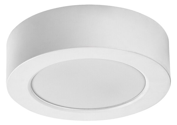 Rabalux SHAUN PLUS LED vonkajšie stropné svietidlo 75071