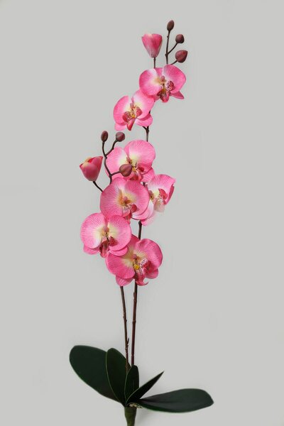 Bledoružová umelá dvojstonková orchidea 67cm
