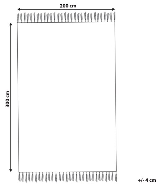 Koberec béžový polyester bavlnený podklad 200 x 300 cm ozdobné strapce klasický dizajn obývacia izba spálňa