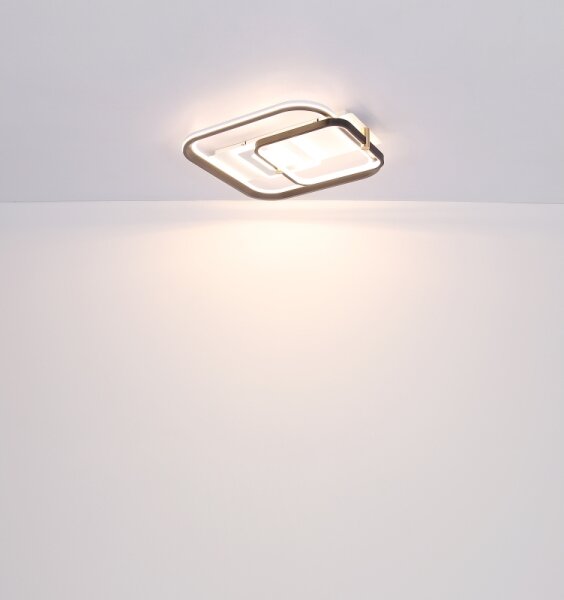Globo 48459-48 - LED stmievateľné stropné svietidlo ANI LED/48W/230V 2700-6000K+DO