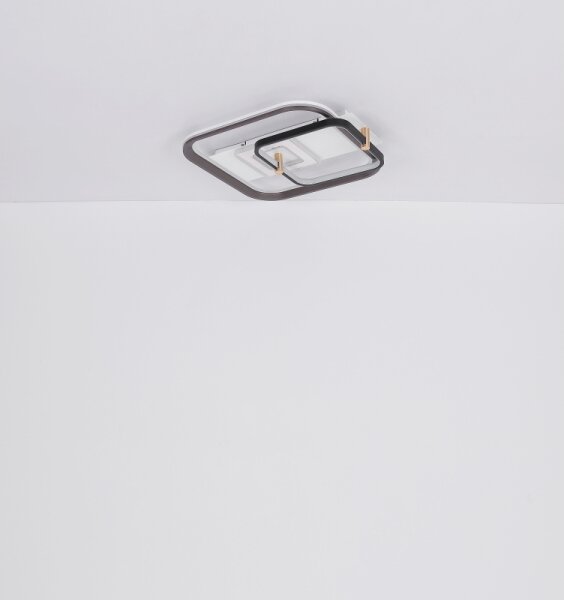 Globo 48459-48 - LED stmievateľné stropné svietidlo ANI LED/48W/230V 2700-6000K+DO