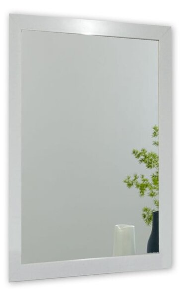Nástenné zrkadlo s bielym rámom Oyo Concept Ibis, 40 x 55 cm