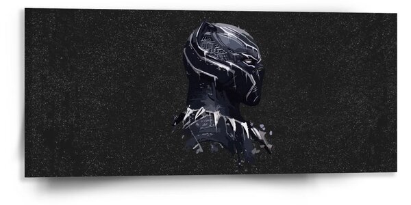 Sablio Obraz BLACK PANTHER z profilu Vesmír - 110x50 cm
