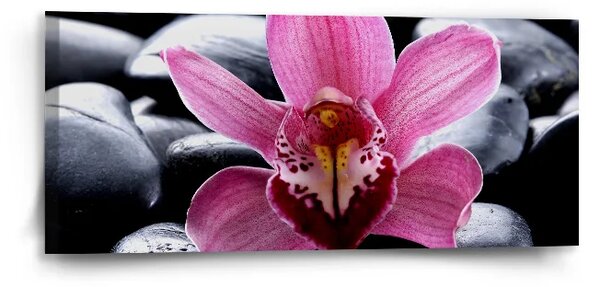 Sablio Obraz Ružová orchidea - 110x50 cm