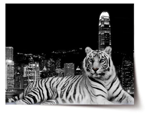 Sablio Plagát Mestský tiger - 60x40 cm