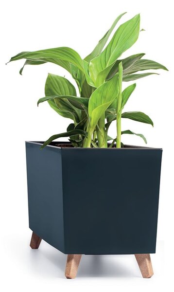 Prosperplast Box s vložkou CORBI IV 77 cm antracitový