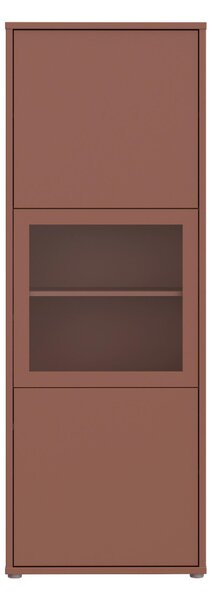 VITRÍNA, terakotová, 64,8/179,1/44 cm Carryhome - Sklenené vitríny, Online Only