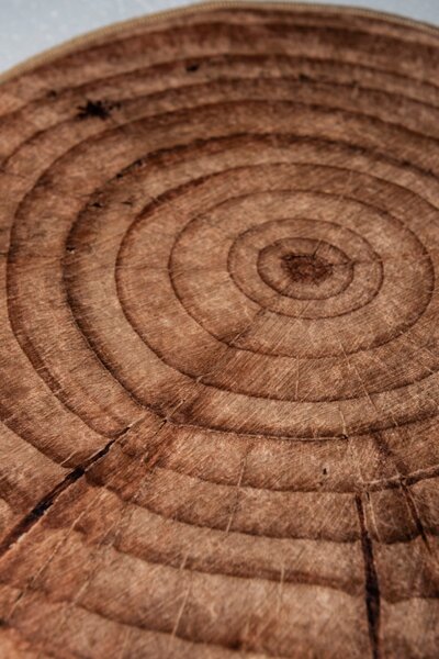 ASIR Kúpeľňová predložka WOOD 2 ks