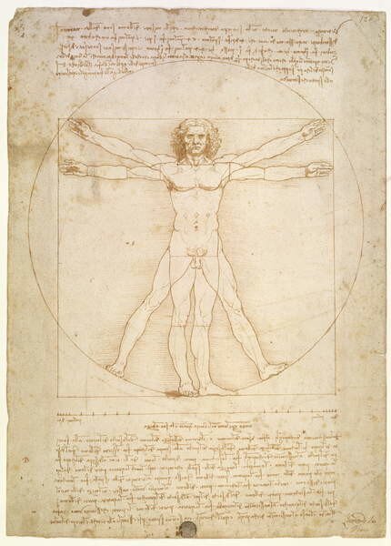 Leonardo da Vinci - Umelecká tlač The Proportions of the human figure , c.1492, (30 x 40 cm)