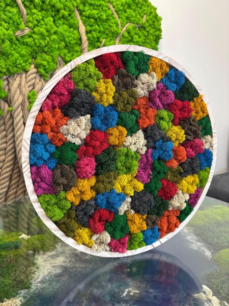Machový kruh - Rainbow Veľkosť rámu: 30cm