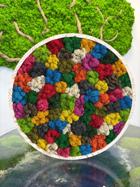 Machový kruh - Rainbow Veľkosť rámu: 30cm