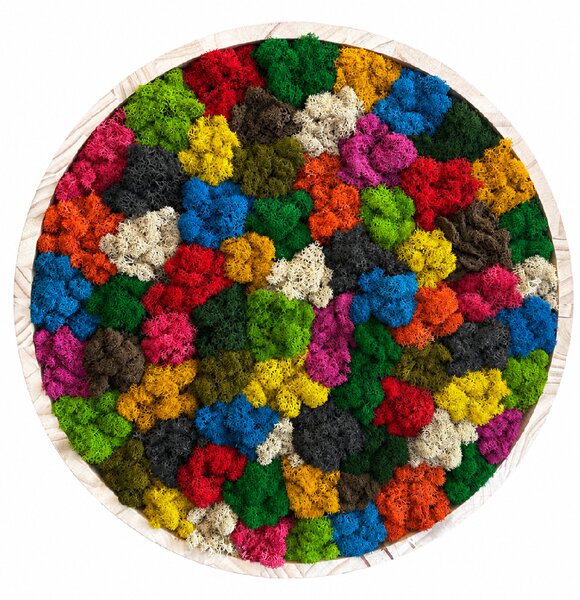 Machový kruh - Rainbow Veľkosť rámu: 30cm