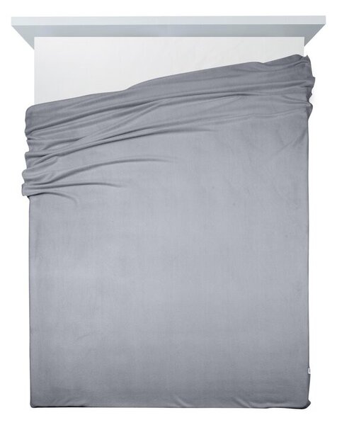 Eurofirany Fleecová deka POLAR 150x200 cm strieborná