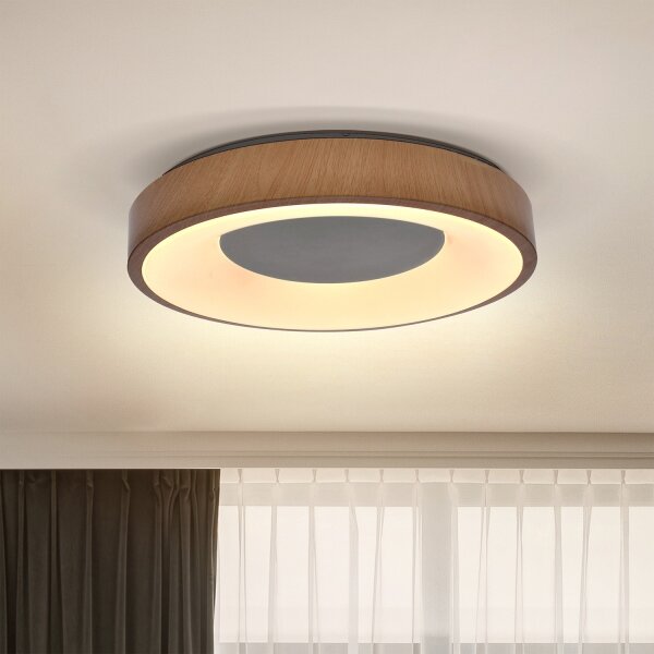 Brilagi - LED Stropné svietidlo DORIA LED/24W/230V