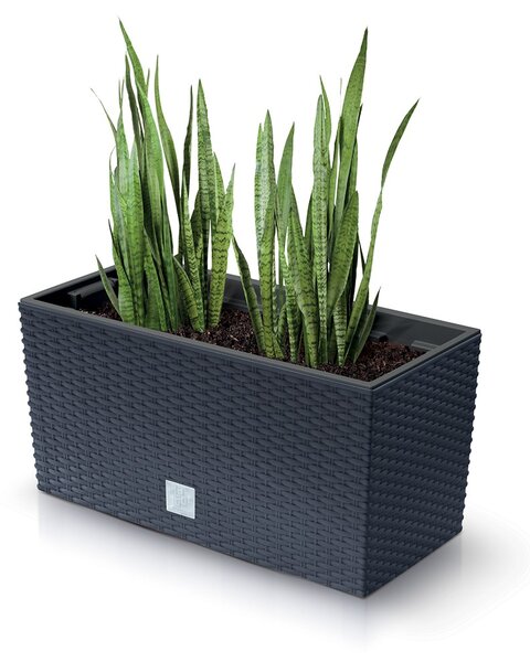 Prosperplast Truhlík RETTO s vkladom antracit, variant 39,5 cm