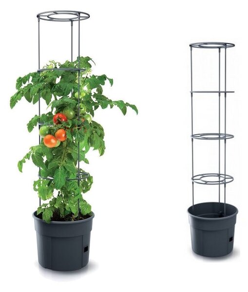 Prosperplast Kvetináč na paradajky Tomato Grower 29,5 cm / 115,2 cm antracit