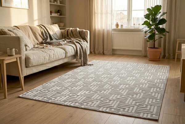 PLOCHO TKANÝ KOBEREC, 120/160 cm strieborná Kayoom - Online Only bytové doplnky, Online Only