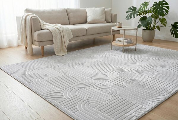 PLOCHO TKANÝ KOBEREC, 120/160 cm strieborná Kayoom - Online Only bytové doplnky, Online Only