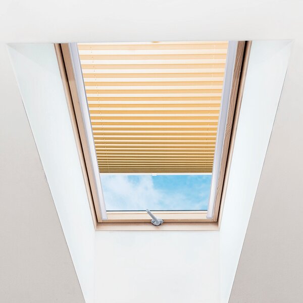 Plisé roleta na strešné okná, Priesvitná, Marhuľová, P 013 , 100 x 100 cm