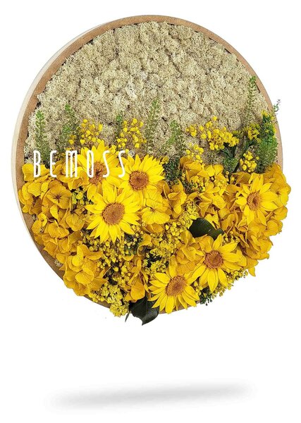 Bemoss® - E-SHOP - Machový obraz kruh Rastliny Solera