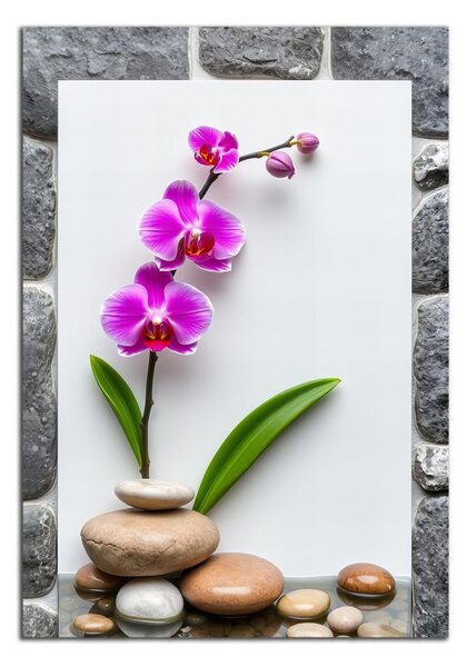 Obraz na plátne Orchidea a kamene