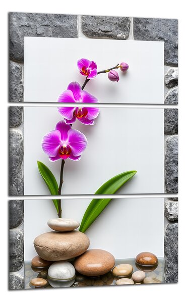 Obraz na plátne Orchidea a kamene