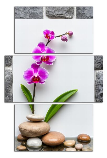 Obraz na plátne Orchidea a kamene